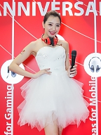  2015 國電展