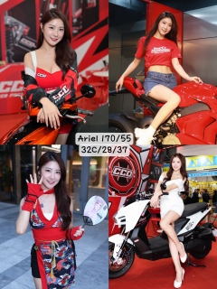 Ariel 愛麗兒 S0004030