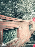 Ivy Yang S0001729