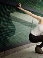 Anita Huang S0002452