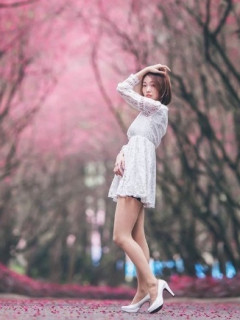 如意楊 S0002926