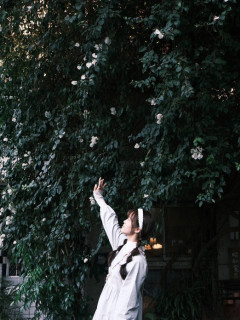 呂英慈0963768280_1-4_1476395022.jpeg