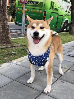 486732491_23969697695956148_8931297998077692790_n.jpeg