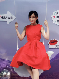 Janis Wu S0002094