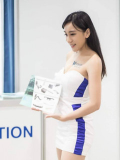 Janis Wu S0002094