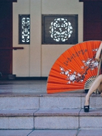 安吶 S0001665