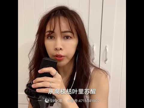 JS殺破狼(仙劍）