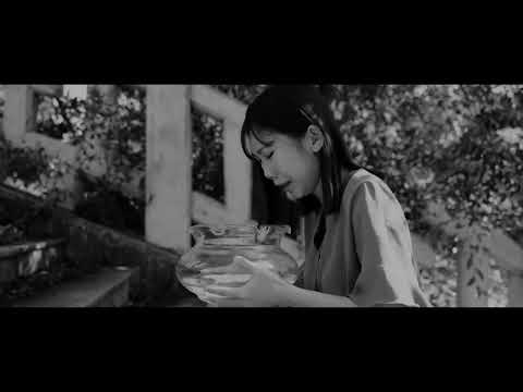 《忘川》