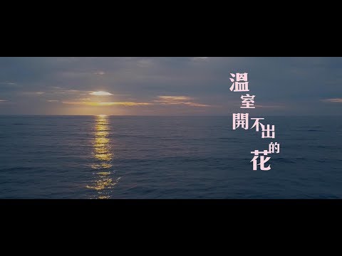 【LamiGirls-溫室開不出的花 Blossom in Adversity】
　
詞：黃婷 Ting Huang
曲：木村充利 Kimura Mitsutoshi
導演：順 Shaun Liu
　
每一個艷陽天 讓汗水多一點(小咪)
每一個下雨天 用雨水洗把臉
在挫折的時候 別為挫折失眠(Mia)
把阻礙當 磨練
　
躺在綠草地上 看飛機雲蜿蜒(倪暄)
狂奔在城市中 追嘮叨的時間
生活是一個圓 我們在轉圈圈(小茶)
找夢想的 畫面
　
是不是 太習慣 躲在同溫層取暖(琳妲)
是不是 遺落初生之犢的 勇敢(羚小鹿)
青春比 想像短(布孟璇)
困難比 想像長
只要我們 逆風飛翔 也很浪漫
　
(曲羿 慧慧 張庭 巧柔 籃籃 牙牙 亞璇 布孟璇)
挺在風雨中 奮力開出 溫室開不出的花
躲在角落裡 怎能體會 這個世界有多狂
難得活一回 就要不一樣
發出獨特的光亮
自己找自己 的太陽
　
躺在綠草地上 看飛機雲蜿蜒(班班)
狂奔在城市中 追嘮叨的時間
生活是一個圓 我們在轉圈圈(陸筱晴)
找夢想的 畫面
　
是不是 太習慣 躲在同溫層取暖(紅豆 慧慧)
是不是 遺落初生之犢的 勇敢(詩妮 巫苡萱)
青春比 想像短(曲羿)
困難比 想像長
只要我們 逆風飛翔 也很浪漫(曲羿 小咪 Abu'u 倪暄)
　
挺在風雨中 奮力開出 溫室開不出的花
躲在角落裡 怎能體會 這個世界有多狂
難得活一回 就要不一樣
發出獨特的光亮
一定要給你 別人沒有的漂亮
　
挺在風雨中 奮力開出 溫室開不出的花
躲在角落裡 怎能體會 這個世界有多狂
誰不曾沮喪 誰不曾徬徨
勇敢不怕夢囂張
一定要給你 別人沒有的漂亮
　
我們在這裡 為你開出 溫室開不出的花
只要努力過 雖敗猶榮 那怕當一次傻瓜
難得活一回 就要不一樣
發出獨特的光亮
幸福有自己的形狀
　
唯一屬於你的形狀(曲羿)