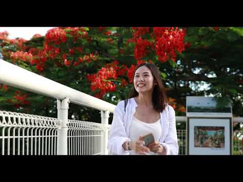 卦山夕照 幸福鵲橋~未婚聯誼 宣導短片