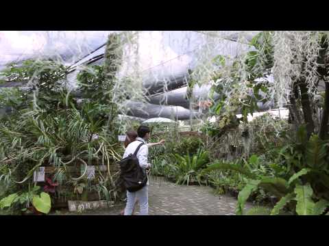 《漫遊．山上》臺南市山上區微電影2014