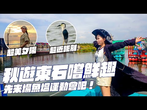 【雲嘉南好好玩】秋遊嘉義東石，賞鳥前先來場魚塭運動會吧！開箱海景第一排最美馬桶｜向禾休閒漁場、鰲鼓濕地、白水湖