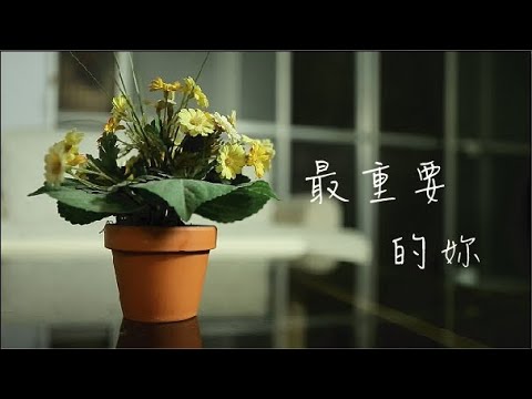 與姊姊(邱妍)相依為命的妹妹(邱庭)某天向姊姊借錢，姊姊很意外妹妹的生活費怎麼花那麼快，妹妹解釋自己因為買教科書而沒錢，但其實妹妹另有其他目的，姊姊考慮了一會，看在妹妹用功的份上決定借給他錢，並提醒他不要亂花錢，但妹妹並沒有聽進去，開心的妹妹一如往常地去上學，直到姊姊突然發現妹妹掉在地上的發票...

演員

邱妍   賴昱菱  飾
邱庭   馬萱庭  飾

工作人員

監製          陳秉宏
導演          葉俞汶
副導          李昕玫
助導          李承緒
場記          李承緒
編劇          許嫚珊
                  呂修慶
製片監製  林于琪 
                  林哲敏
製片          李昕霈
製片助理  陳瑞君
攝影          周駿騰
攝影助理  紀榮翰
燈光          許書瑋
燈光助理  詹皓惟
收音          廖柏誌
收音助理  呂修慶
美術          陳弈慈
美術助理  周曉彤
剪輯          許書瑋

指導老師  王傢軍
剪輯指導  黃文龍

-中國科技大學 影視設計系-